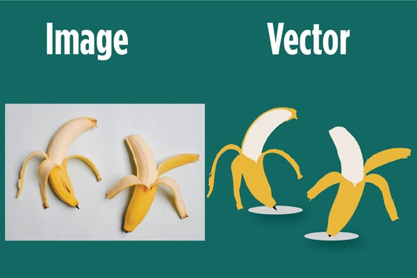 How Raster to Vector Conversion Helps Your Brand Look Professional