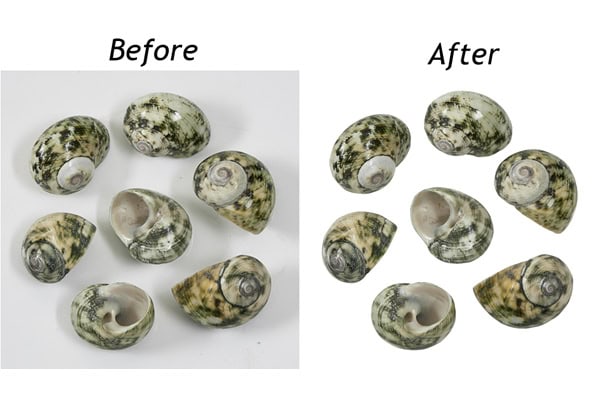 What is Clipping Path in Photoshop? – A Beginner’s Guide to Clean Cutouts
