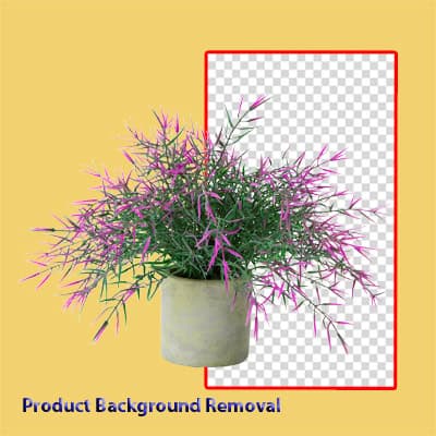 image background removal Service