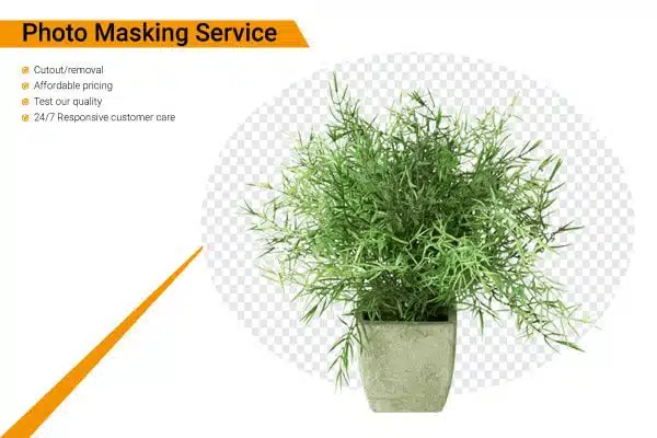 image masking services